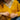 GILET ACHILLE MOUTARDE #couleur_moutarde