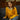 GILET ACHILLE MOUTARDE #couleur_moutarde