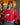 PULL GILDAS RUBIS #couleur_rubis