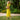 ROBE LUCIENNE CITRON #couleur_citron