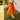 JUPE MANELLE MANDARINE #couleur_mandarine