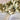 COLLIER IRIS BLANC #couleur_blanc