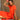 ROBE LARA CORAIL #couleur_corail