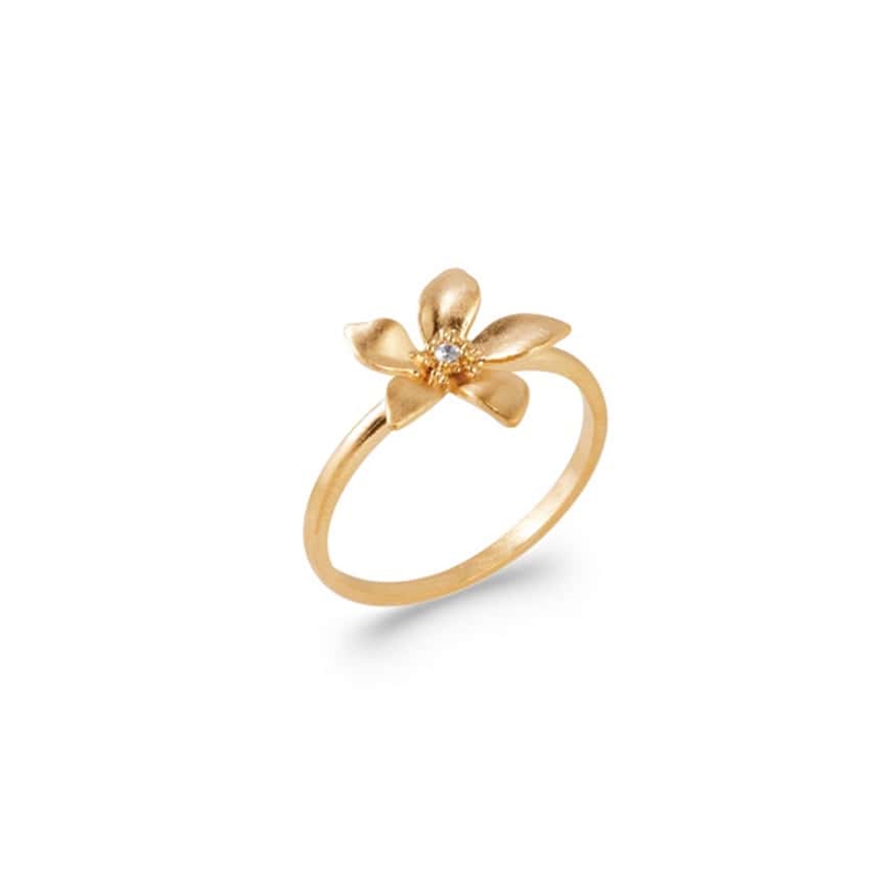 Photo de ARCHIVES_ETE BAGUE ELIJA chez Perrine et Antoinette