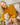 PULL GILDAS MOUTARDE #couleur_moutarde