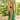 ROBE LAURENE EMERAUDE #couleur_emeraude