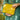 SAC DIEGO CITRON #couleur_citron