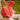 GILET GASPARD FRAISE #couleur_fraise