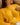 PULL GILDAS TOURNESOL #couleur_tournesol