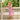 ROBE LAURENE LILAS #couleur_lilas