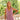 ROBE LAURENE LILAS #couleur_lilas