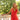 ROBE LAURENE CORAIL #couleur_corail