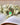 COLLIER CLARENCE VERT EMERAUDE #couleur_vert-emeraude