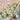 COLLIER CLARENCE ANIS #couleur_anis