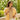GILET BASILE JAUNE PÂLE #couleur_jaune-pâle