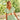CEINTURE ALOA IRISÉ ROSE IRISÉ #couleur_rose-irisé